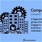 bet the company definition